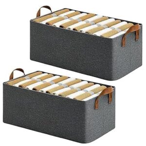 26L Storage Bag Pack of 2
