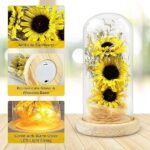 Sunflower Light